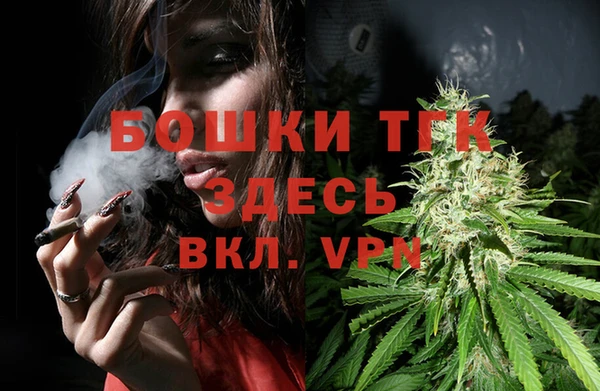 ГАЛЛЮЦИНОГЕННЫЕ ГРИБЫ Белокуриха