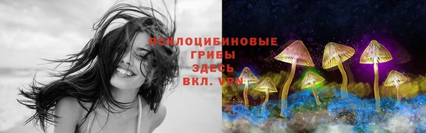 винт Богданович