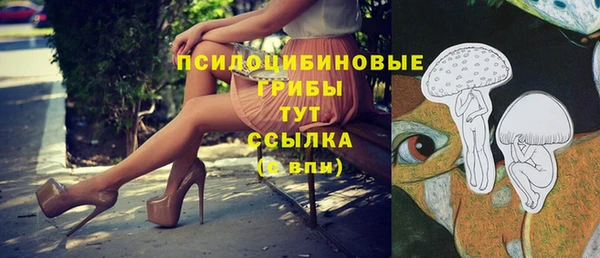 гидра Беломорск
