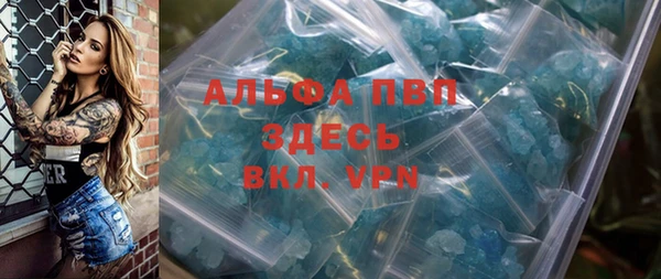 ГАЛЛЮЦИНОГЕННЫЕ ГРИБЫ Белокуриха