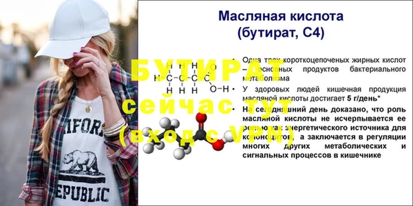 шишки Сатка